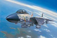 Grumman F-14A Tomcat - Image 1