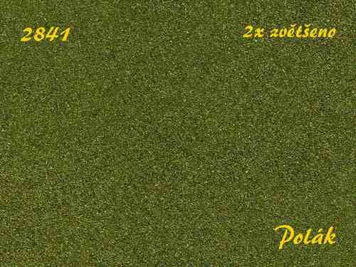 Naturex F Drobny ziele� �rednia - Image 1