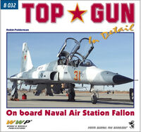 Top Gun in Detail - Image 1