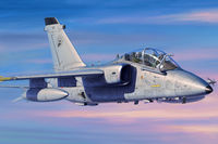 A-11B AMX-T Trainer